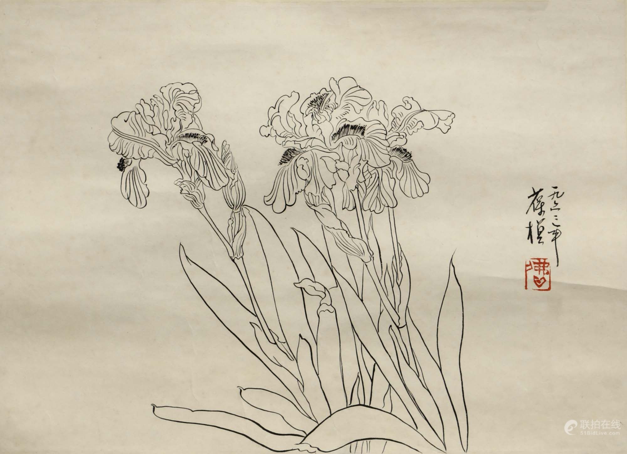 苏葆桢 花卉线描