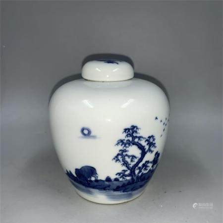 Qing Dynasty Porcelain Pots with Blue and White Characters