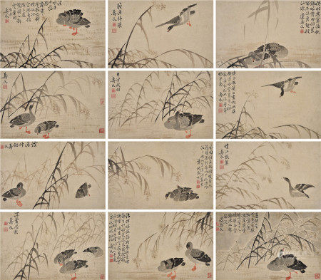 边寿民（1684-1752） 苇雁十二开