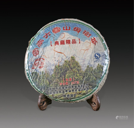 云南大雪山母树茶 