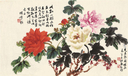 孔小瑜 牡丹