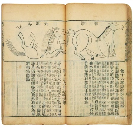 元亨疗马经六卷
清同治九年（1870）刻本
五册