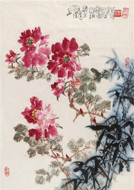杜显清 牡丹