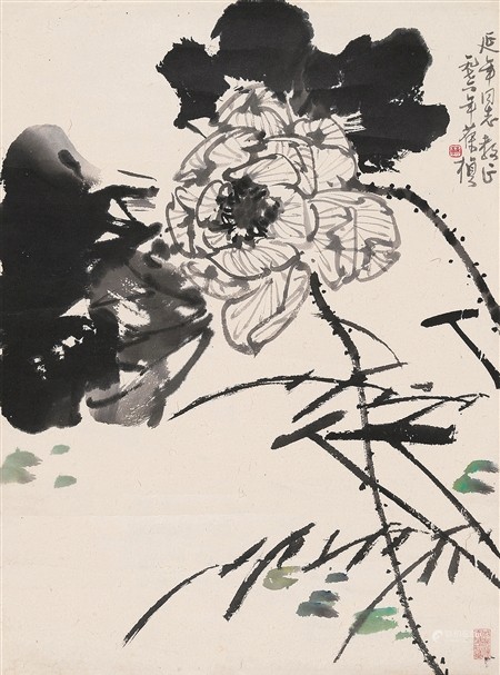 苏葆桢 花卉