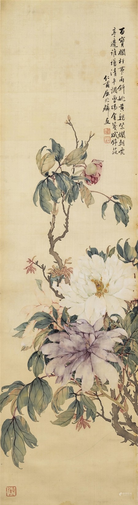 屈兆麟  牡丹